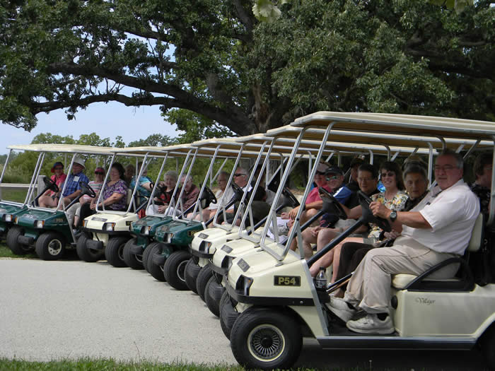 Golf Cart Ride 6
