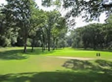 PZ_NineSprings_Green